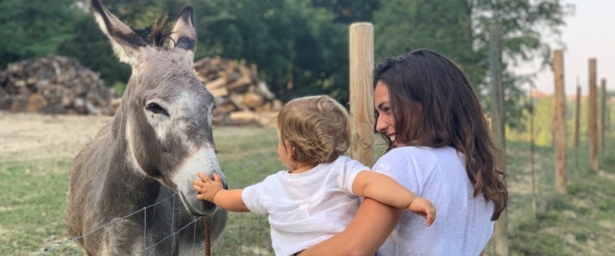 Madre e bambino interagiscono con un asino in un recinto all'aperto.